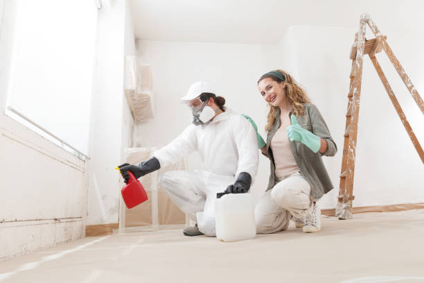 Best Real Estate Mold Inspection  in Lake Forest, IL