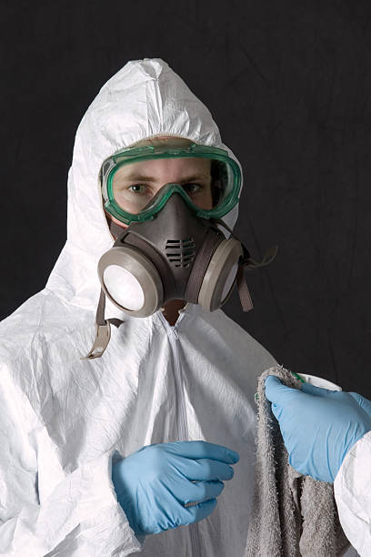 Best Asbestos and Lead Testing During Mold Inspection  in Lake Forest, IL